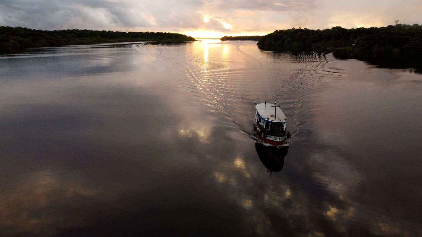 Semana Da Amazônia Tem Programação Gratuita E Mobilização Em Prol Da Conservação Das Florestas 