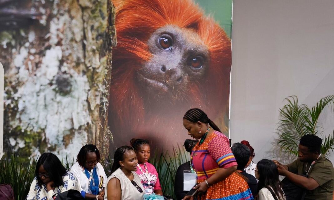 © Tânia Rêgo/Agência Brasil